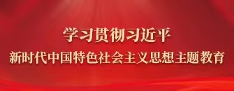 學(xué)習(xí)貫徹習(xí)近平新時(shí)代中國(guó)特色社會(huì)主義思想主題教育